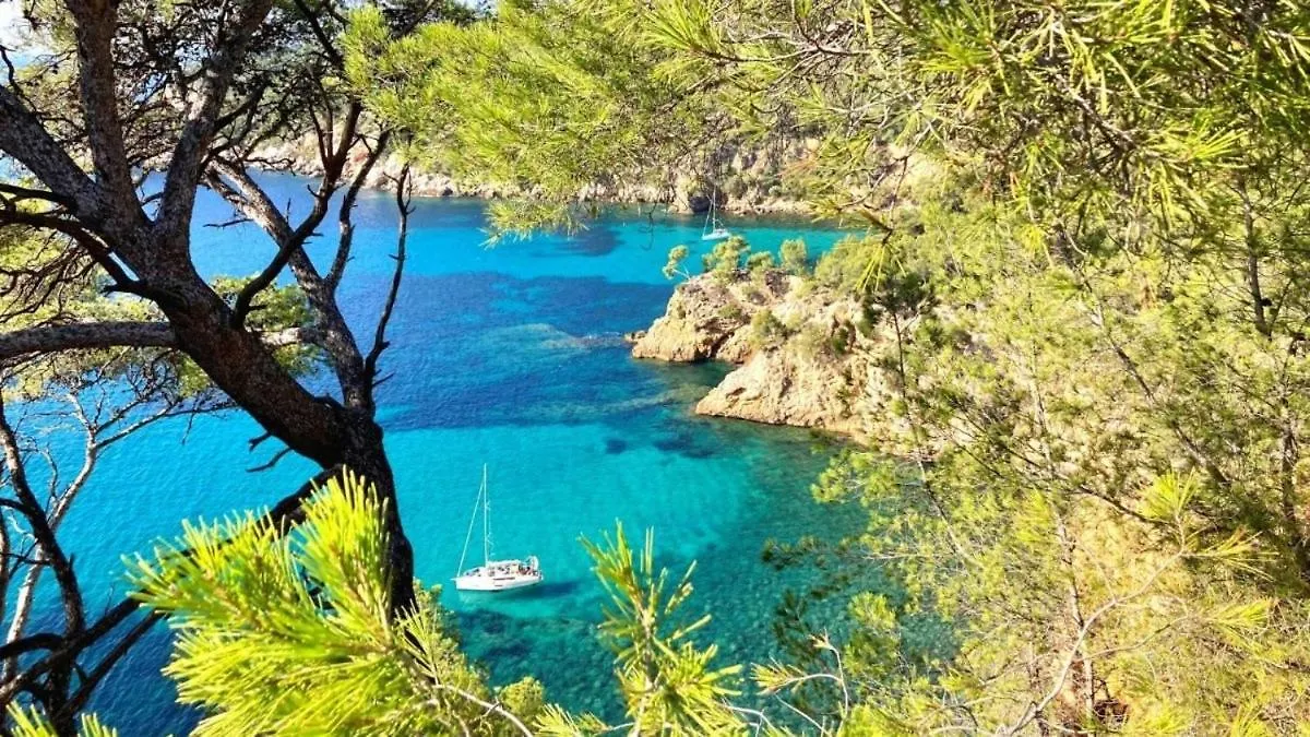 Superbe Appartement En Bord De Mer Bandol Apartment